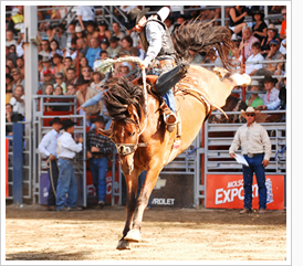 BJ Prince riding Saddle Bronc at St-Tite