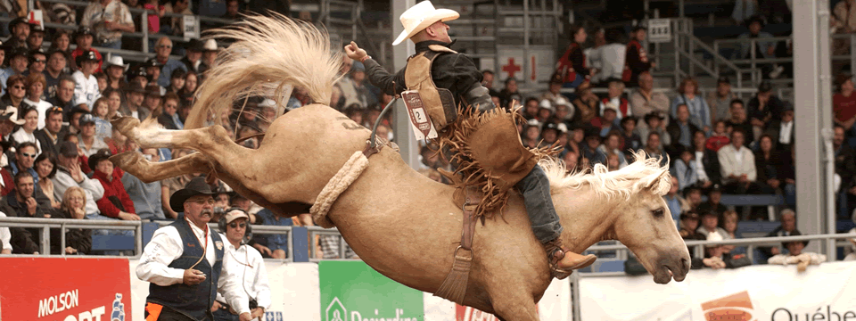 Bareback Bronc Riding