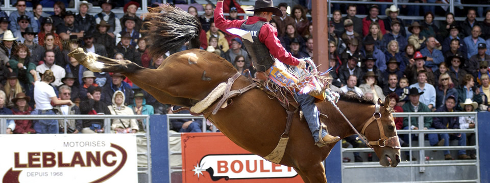 Saddle Bronc Riding