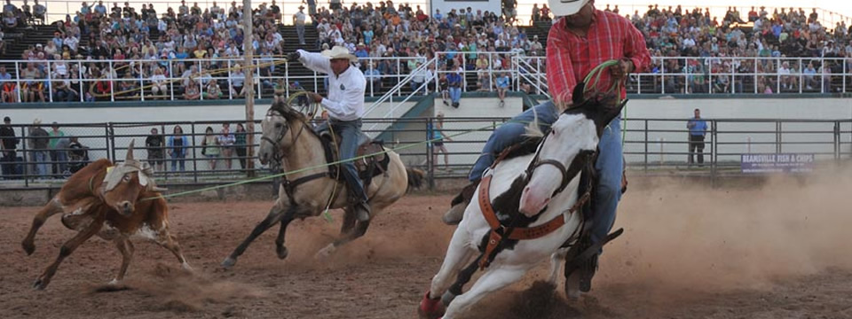 Team Roping