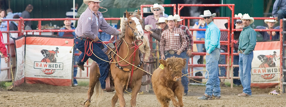 Tie-Down Roping