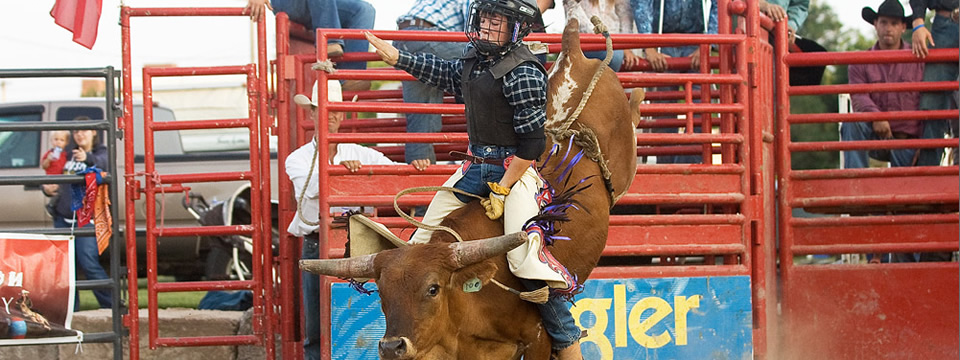 Junior Bull Riding